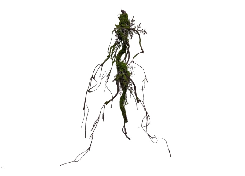 Artificial Green Vine 190cm for Green & Floral Arrangements