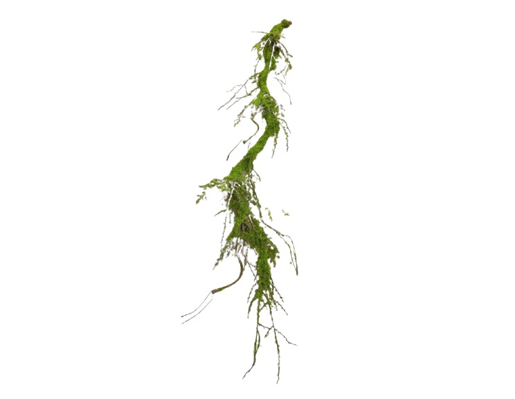 Artificial Green Vine 190cm for Green & Floral Arrangement